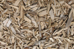 biomass boilers Burmarsh